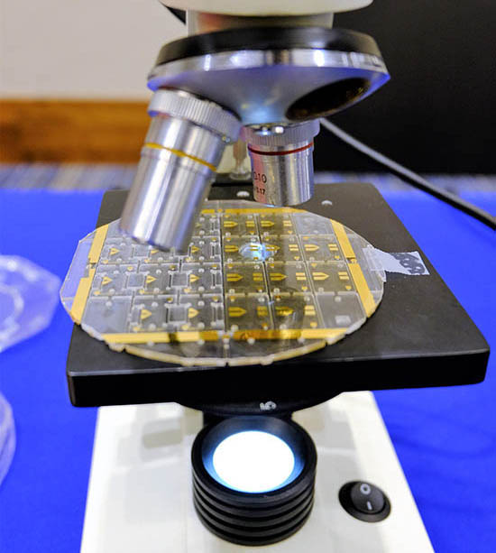 A microfluidic chip on a microscope