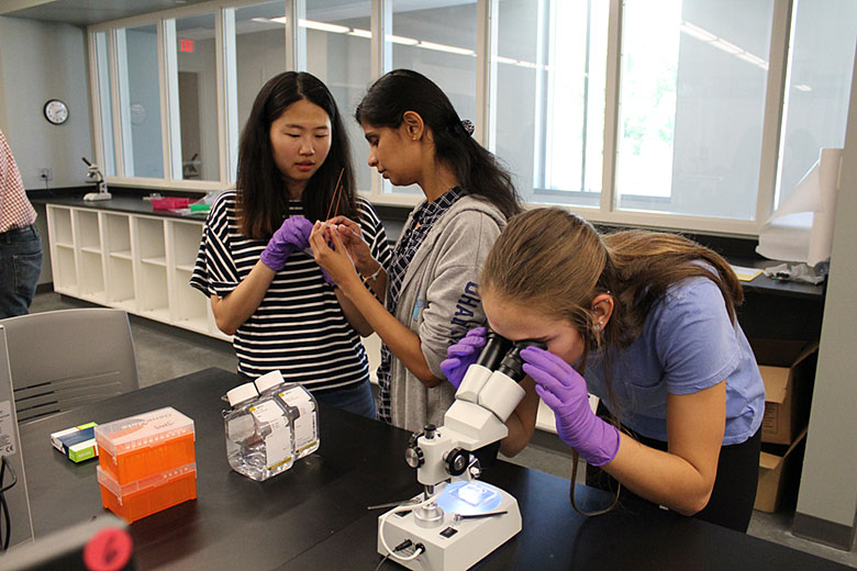 Yeonzu Son (left) consults with Harshani Wijerathne, while Renee Kryk (right) checks her chip under the microscope for proper placement of the inlet and outlet holes