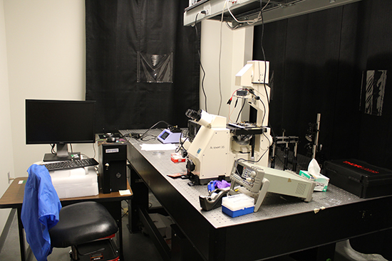 Axiovert microscope in large laser table lab