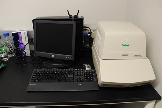 BioRad RT-PCR, next to a computer