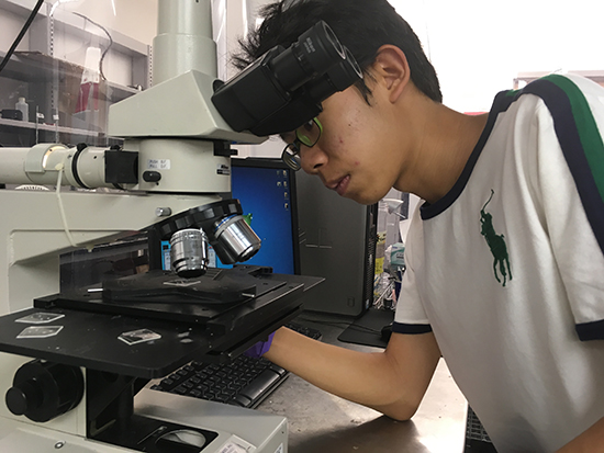Sunggun, a high school student, intently examining a sample using a microscope.