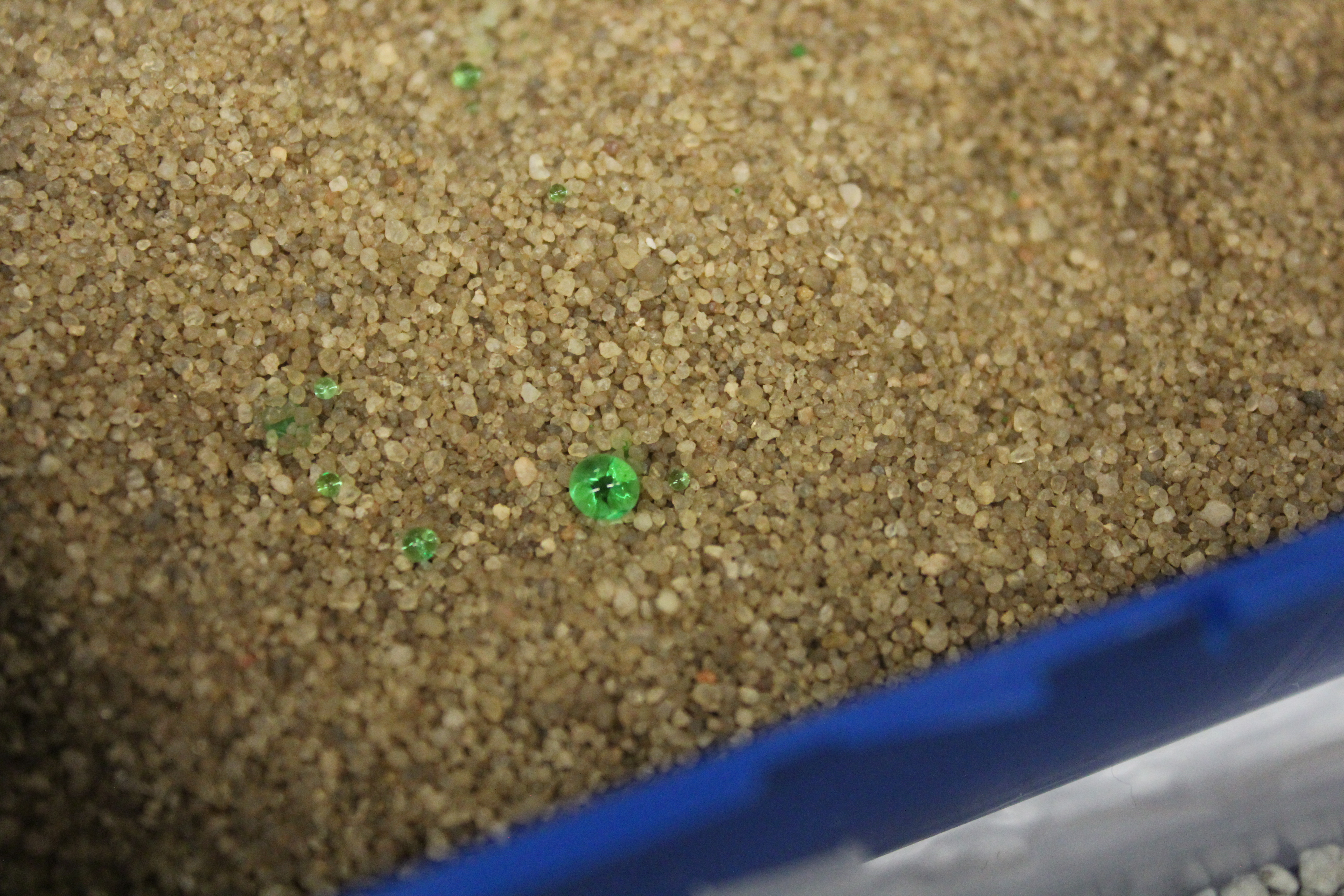 Brown grains with green color injected by students.